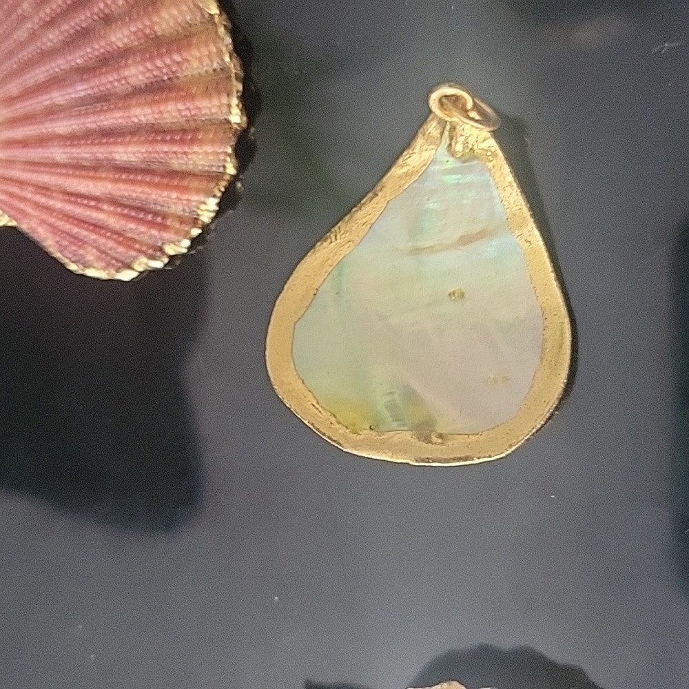 Seashells Dipped In 18k Gold - image 5